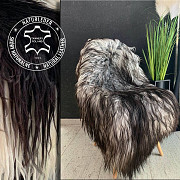 European sheepskins with fabulously long hair Denver