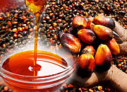 High Quality Palm Oil Available Lagos