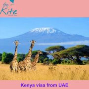 Kenya visa from UAE Dubai