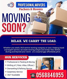 PROFESSIONAL MOVERS AND PACKERS Dubai
