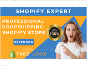 I will build shopify store dropshipping ecommerce store or shopify website Denver