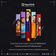 OpenTeQ NetSuite Development Texas City