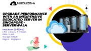 Upgrade Performance with an Inexpensive Dedicated Server in Singapore - Serverwala Augusta