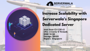 Increase Scalability with Serverwala's Singapore Dedicated Server Augusta