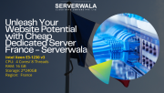 Unleash Your Website Potential with Cheap Dedicated Server France - Serverwala Augusta