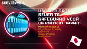 Use Dedicated Sever to Safeguard Your Website in Japan Augusta