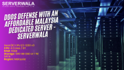DDoS Defense with an Affordable Malaysia Dedicated Server - Serverwala Augusta