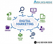 Best Digital Marketing Company in USA - Apex Info Serve Success New York City