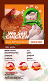 Shop Freshly slaughtered frozen chicken from Enugu