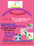 Pest control from Mombasa