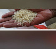 Fortune rice mill Bags of rice for sale Kano