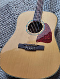 Guitar Ibanez Artwood from Trenton