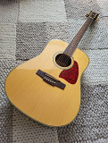 Guitar Ibanez Artwood from Trenton