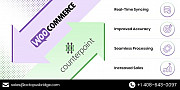 Efficiently Sync Counterpoint POS with WooCommerce San Jose