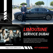 White Line Limousine LLC Dubai