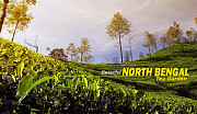 A Perfect Getaway: North Bengal Package Tour from Kolkata from Kolkata