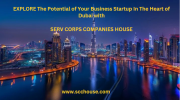 Elevate Your Business in the Heart of Dubai from Dubai