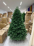 Christmas Colorado Pine Tree from London