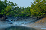 Wonderful Sundarban Tour Package from Kolkata - 2025 Spl Deal Kolkata