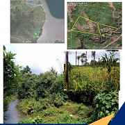 Property No.9 For Sale Location: Sibaltan El nido, Palawan San Fernando