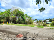 Land for Sale in Tobago Scarborough