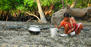 Sundarban Tour Package from Kolkata - 2025 Spl Deal, Book Now! Kolkata