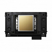 Epson F1080-A1 Printhead (WORLDPRINTHEAD) Denver