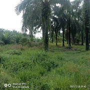 Land for Sale Sepang
