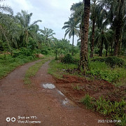 Land for Sale Sepang