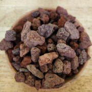 Orchid Mixes: The Real Food for Your Orchid Plant Delray Beach