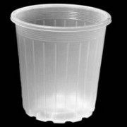 Orchid Pots: High-Quality Pots for Healthy Growth Delray Beach