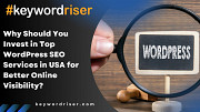 Why Should You Invest in Top WordPress SEO Services in USA for Better Online Visibility? Denver