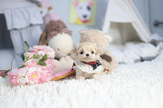 Lovely maltipoo puppy from Bedford