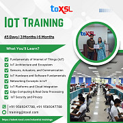 Launch Your Career with IoT Training at ToXSL Technologies Chandigarh