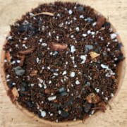 Orchid Supplies Florida: Quality Orchid Care Materials for Growers Delray Beach