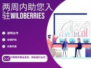 通过以下途径进入俄罗斯市场 Wildberries Beijing