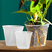 Orchid Baskets: Elegant Support for Aerial Root Systems Delray Beach