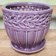 Orchid Baskets: Elegant Support for Aerial Root Systems Delray Beach