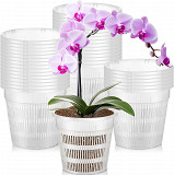 Clear Orchid Pots: Transparent Homes for Healthy Root Growth Delray Beach
