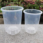 Clear Orchid Pots: Transparent Homes for Healthy Root Growth Delray Beach