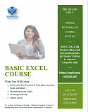 Excel Data Visualization Dashboard Course Sharjah 05687236 Sharjah