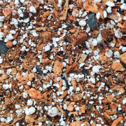 Aroid Mix for Healthy and Fast-Growing Tropical Houseplants Delray Beach