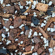 Aroid Mix for Healthy and Fast-Growing Tropical Houseplants Delray Beach