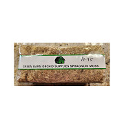 Orchid Supplies: Everything You Need for Healthy Orchid Growth Delray Beach