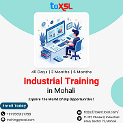 Industrial Training in Mohali | Learn Beyond Classrooms with ToXSL Technologies Mohali