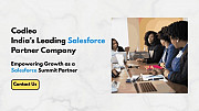 Salesforce Staff Augmentation Services | Hire Certified Experts On-Demand from Delhi