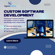 Custom Software Development Service Company Jaipur