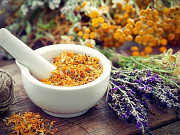 Best Bach Flower Therapy Center in UK – Healing Flowers for Emotional Wellness from Rugby