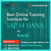 SAP HR HCM Course in Hyderabad | Igrowsoft Hyderabad