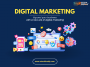 Website Designing Company in Meerut Meerut